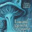 Карты таро "Liminal Spirits Oracle" Llewellyn / Оракул Предельных духов