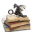 Шкатулка из полистоуна "Дракон на книгах"