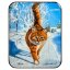 Шкатулка "Котик" Лидяева Л.